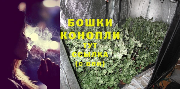 таблы Бородино