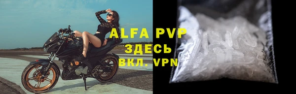 таблы Бородино
