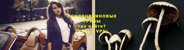 таблы Бородино