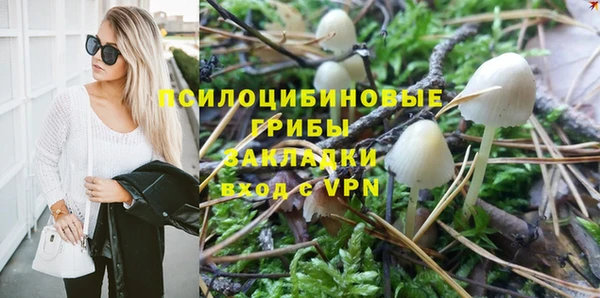таблы Бородино