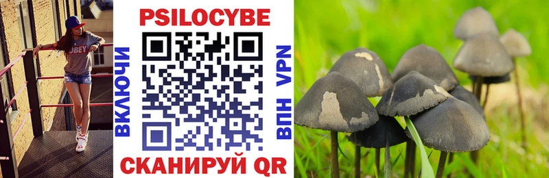 где купить наркотик  ОМГ ОМГ онион  Галлюциногенные грибы GOLDEN TEACHER  Томари 